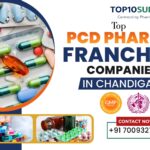 Top 10 PCD Pharma Franchise Companies in Chandigarh 