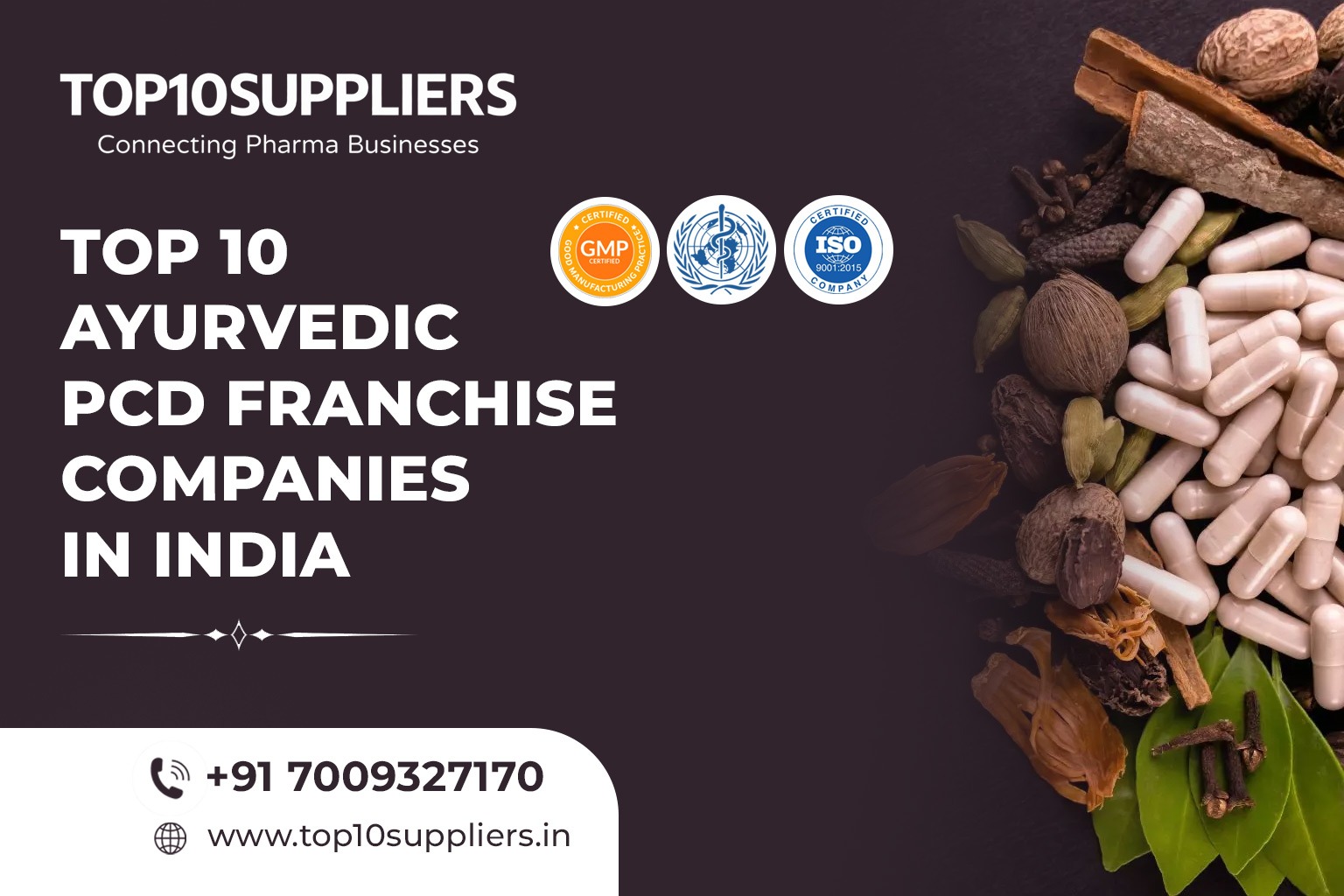 Ayurvedic PCD Franchise Companies