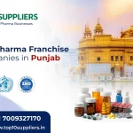 Top 10 PCD Pharma Franchise Companies in Punjab